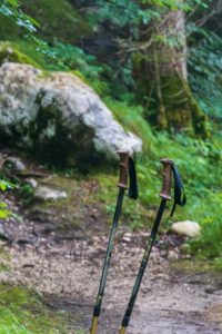 hiking-beginner-hiking-poles.jpg