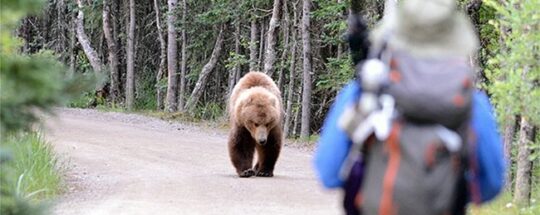 How Is Hiking Good For You?  Heart, Back, Knees, Pregnancy…