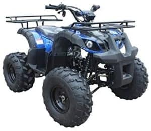 TaoTao ATV TForce