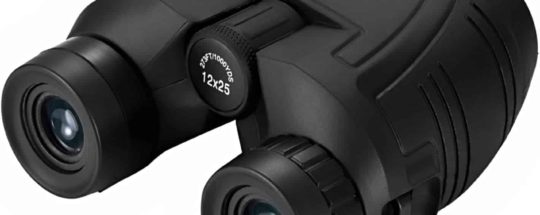 Sun Mountain Leather Golf Bag