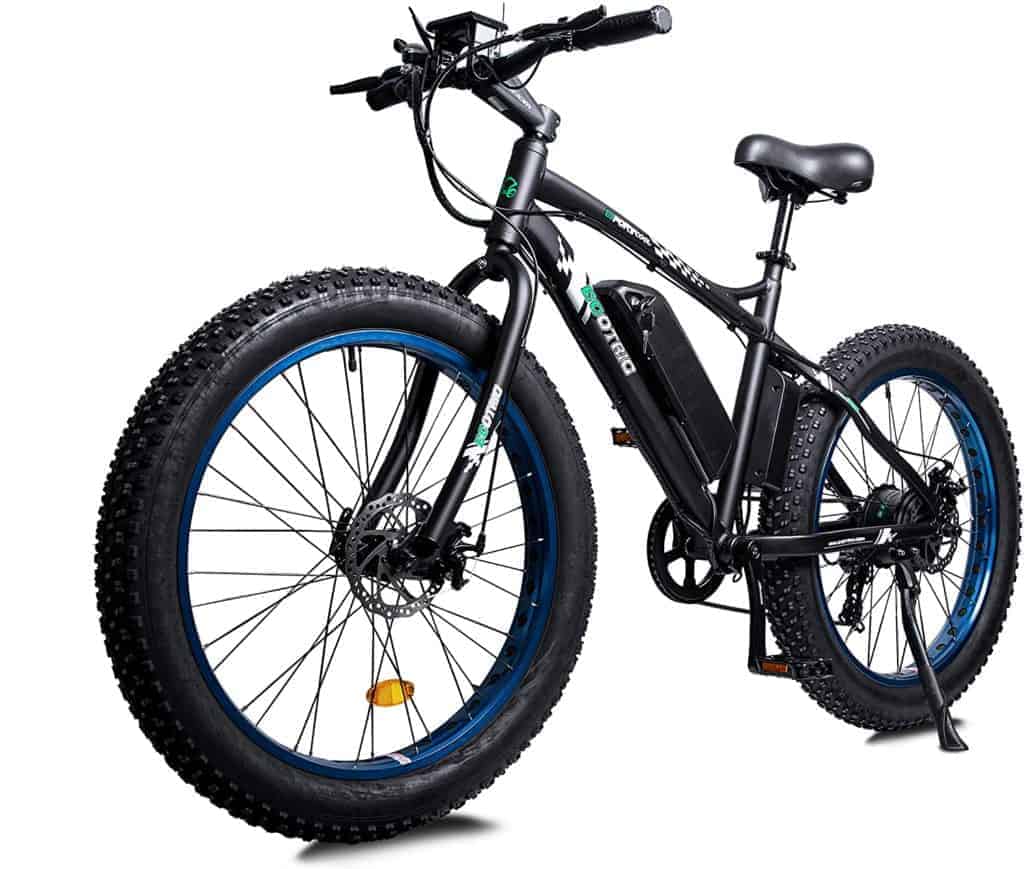 ECOTRIC Electric Powerful Bicycle